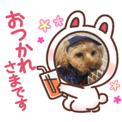 MAYUMI_20211002233554