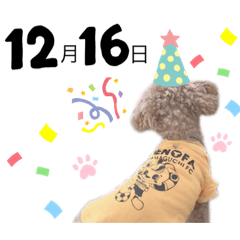 Natsumi_20211002233843