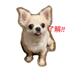 AOI_20211002222656