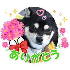 kaori_20211004144353