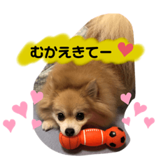 arisa_20211002030824