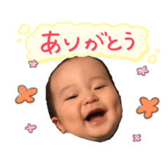 aoi0126