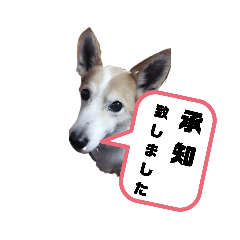 tomomi_20211004165811