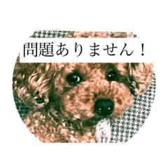 yuka_20211003085050