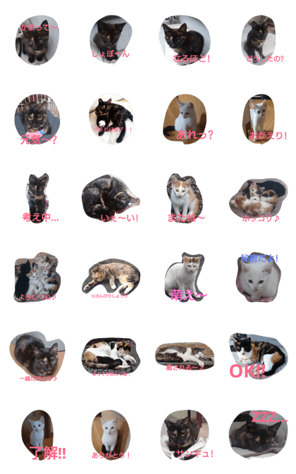 Oh! Cats!