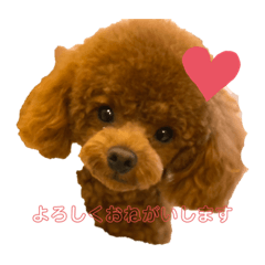 ayumi_20211003124006