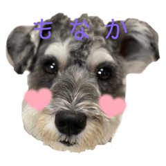 yuka_20211004132403