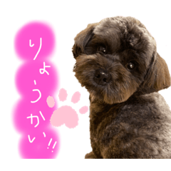 chihiro_20211002214818