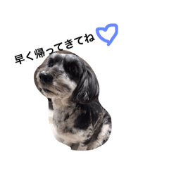 LOVEDOGs.