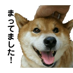ton_y