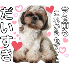 seira_20211004190355