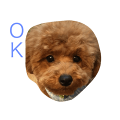 moko3
