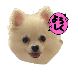 mizuki_20211003025446