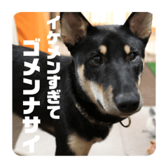 Mizuki_20211003082958