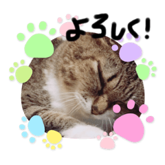 kchan_20211004211842