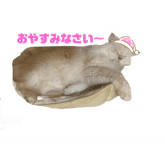 chihiro_20211004215031