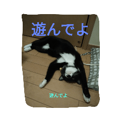 nonta_20211004220111
