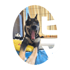 Mizuki_20211003143313