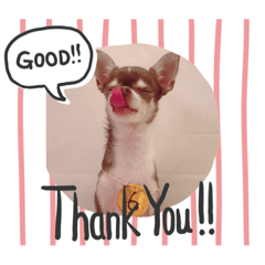 GINSEI_20211004210045