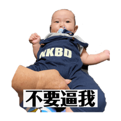 三隻小蔡の逆襲