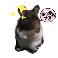 kchan_20211003085831
