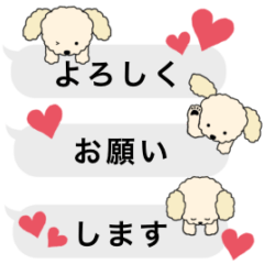 Dog (toy poodle) balloon Sticker