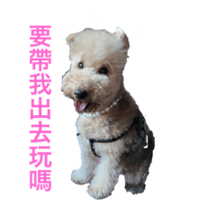嚕嚕咪的日常生活2