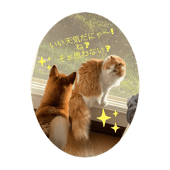 MIYUU_202110051321122