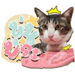 Iamnook_20211005070840