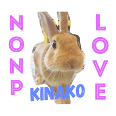 I Love kinako 1