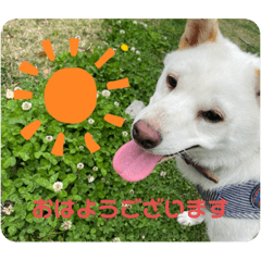 risa_20211003191202