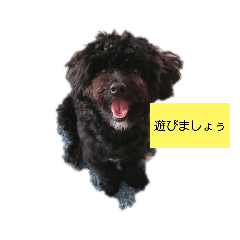 Lucas_20211003220756