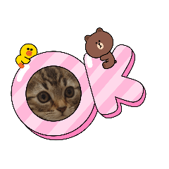 akiko_20211004002149