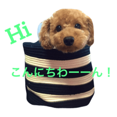 R.K...E.T
