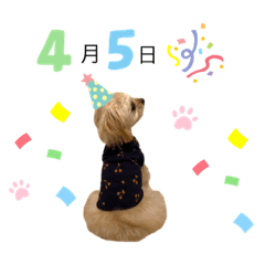 Natsumi_20211004125116