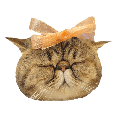 Momofuku to Kintoki