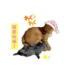 bts102600_20211005153820