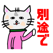CAT2YOSHI