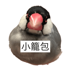 Nora_20211005205235
