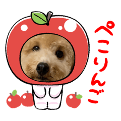 MIZUKI_20211005214736