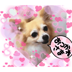 Miki_20211005231041