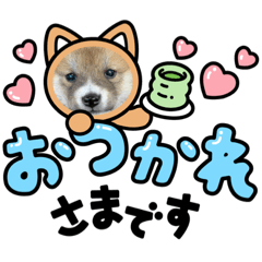 yuka_20211005231359