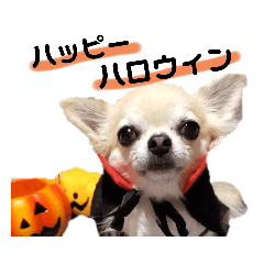 キキとララハロウィン甘え語スタンプ