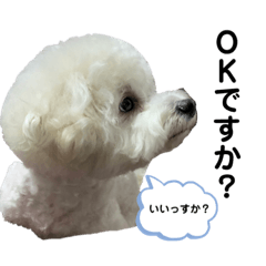 Miki_20211005230715
