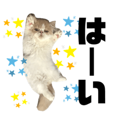 miko_20211004173835