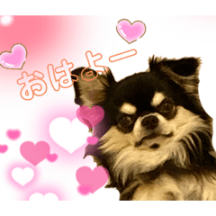 sayaruke_love my dog