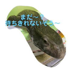 SAYA_20211004183854
