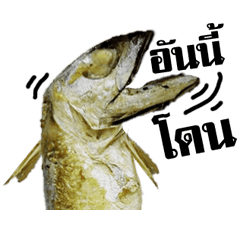 ปลาทูทอด