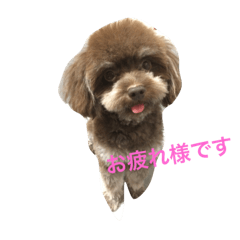 kurooo