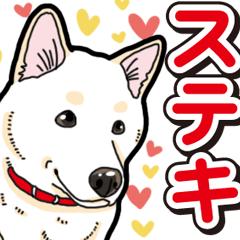 Wanko-Biyori White Shiba Inu 6